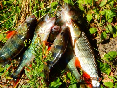 DSCN8096.JPG