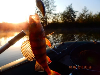 DSCN8120.JPG