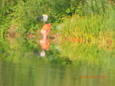 DSCN8122.JPG