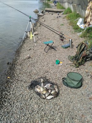 IMG_20180911_131824.jpg
