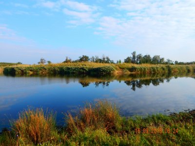 DSCN8147.JPG
