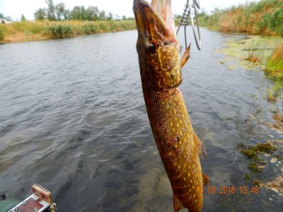 DSCN8158.JPG