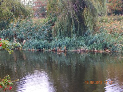 DSCN8165.JPG