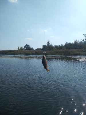 IMG_20180922_142255.jpg