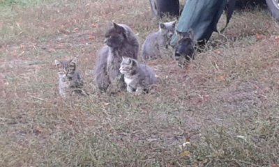 20180923_090104.jpg