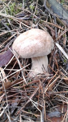 20180929_105834.jpg