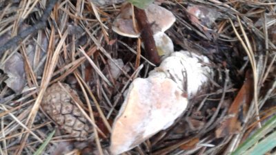 20180929_112403.jpg