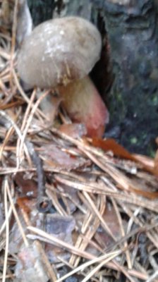 20180929_112934.jpg