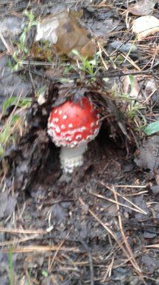 20180929_114047.jpg