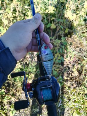 IMG_20180917_155350.jpg