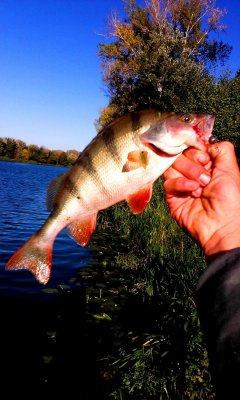 20180930_160827.jpg