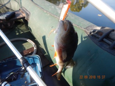 DSCN8170.JPG