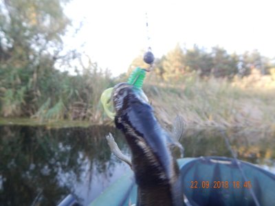 DSCN8175.JPG