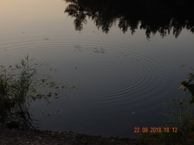 DSCN8180.JPG