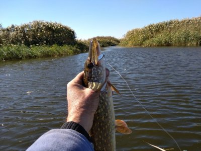 IMG_20181006_122145.jpg