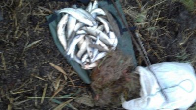 10_01_azov2.jpg