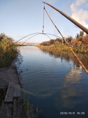 10_10_az1.jpg