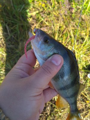 IMG_20181015_100909.jpg