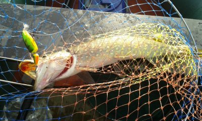 20181015_093214.jpg