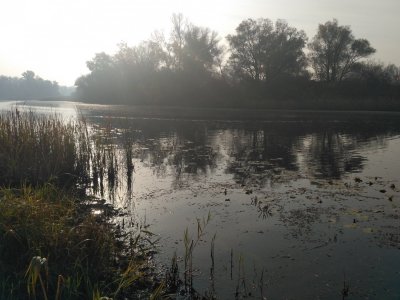 IMG_20181020_091755.jpg
