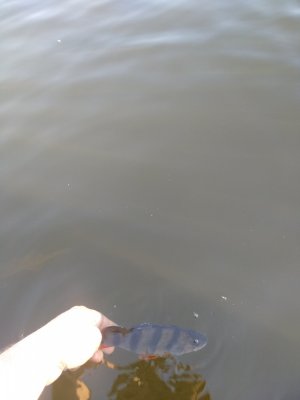 IMG_20181017_160933.jpg
