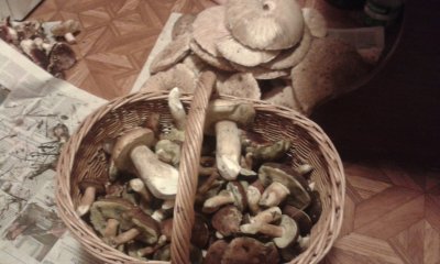 20181024_202053.jpg