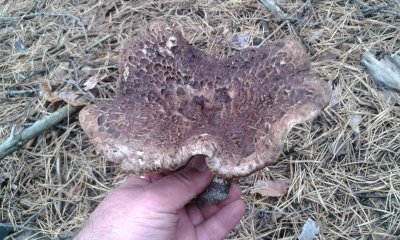 20181025_161322.jpg