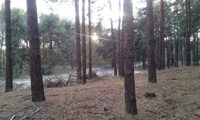 20181025_165928.jpg