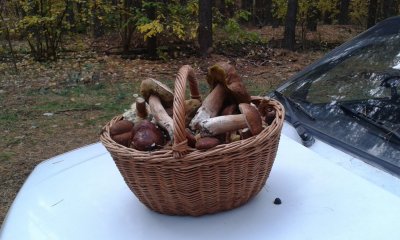 20181025_164022.jpg