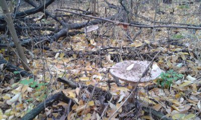 20181025_173614.jpg