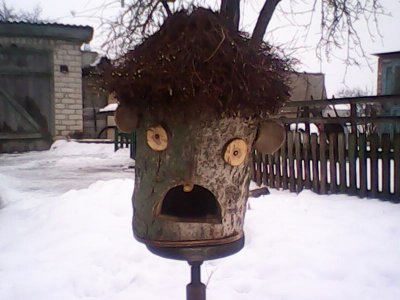 IMG0387A.jpg