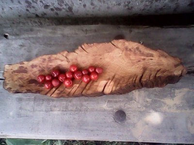 IMG1073A.jpg