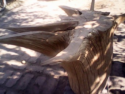 IMG0609A.jpg