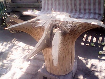 IMG0610A.jpg
