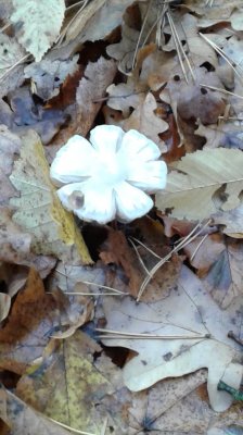 20181027_093030.jpg
