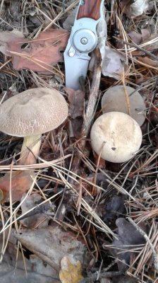20181027_111123.jpg