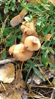 20181027_123903.jpg