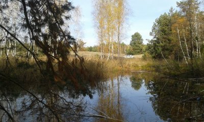20181027_130853.jpg