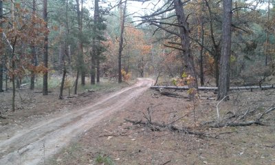20181027_164339.jpg