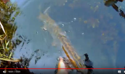 2018-10-30_214655.png