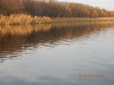 DSCN8422.JPG