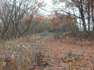 DSCN8461.JPG