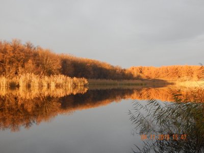 DSCN8464.JPG