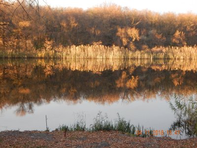 DSCN8463.JPG