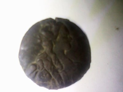 IMG1176A.jpg