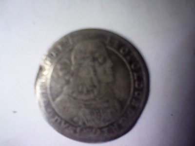 IMG1177A.jpg