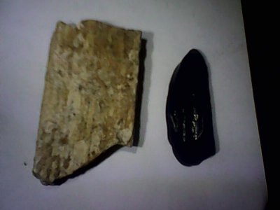 IMG1175A.jpg