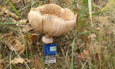 20181104_143952.jpg