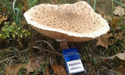 20181104_144142.jpg