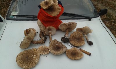 20181104_144717.jpg